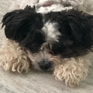 Meet your Posher, Kim